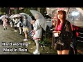 Why countless tokyo maid girls work hard even in heavy rain