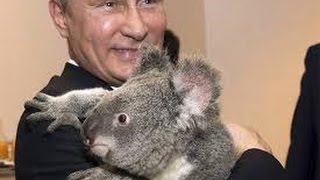 Путин с коалой на саммите «Большой двадцатки»!