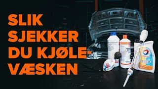Skifte Frostvæske AUDI A3 - vedlikeholdstips