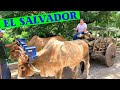 Videos de El Salvador