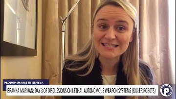 2019 Group of Governmental Experts on lethal autonomous weapons meeting