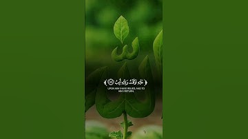 @وما توفيقي إلا بالله عليه توكلتُ وإليه أنيبُ ||من سورة هود #القران #المصحف #اكسبلور #duet #لايك