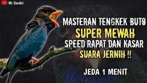 MASTERAN TENGKEK BUTO SUPER MEWAH || SPEED RAPAT DAN KASAR !!