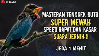 MASTERAN TENGKEK BUTO SUPER MEWAH || SPEED RAPAT DAN KASAR !!