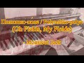 Piano: Polyushko-polye / По́люшко-по́ле / Oh Fields, My Fields / Meadowlands / Song of The Plains