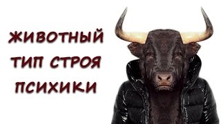 Животный тип строя психики Животный тип строя психики