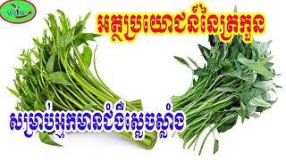 អត្ថប្រយោជន៍នៃត្រកួនសម្រាប់អ្នកមានជម្ងឺស្លេកស្លាំង!/Benefits of Acne for People with Anemia