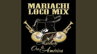 Video thumbnail of "Mariachi Oro De America - Sergio El Bailador, La Del Moño Colorao, El Mariachi Re-loco, La Suavecita, El Pipiripao, La..."