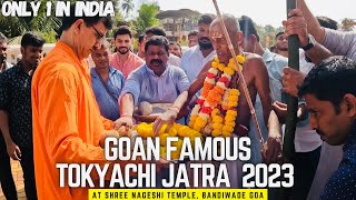Goan Famous Tokyachi Jatra at Shree Nageshi Temple, Bandiwade Ponda Goa | Jatra 2023