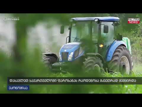 დასავლეთ საქართველოში ფაროსანას რაოდენობა მკვეთრად შემცირდა