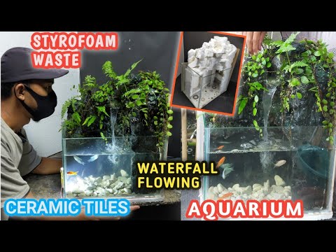 ቪዲዮ: እንዴት የሚያምር የውሃ Aquarium እንዴት እንደሚሰራ