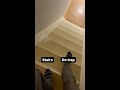 The Dutch word for stairs is "trap"! A coincidence?