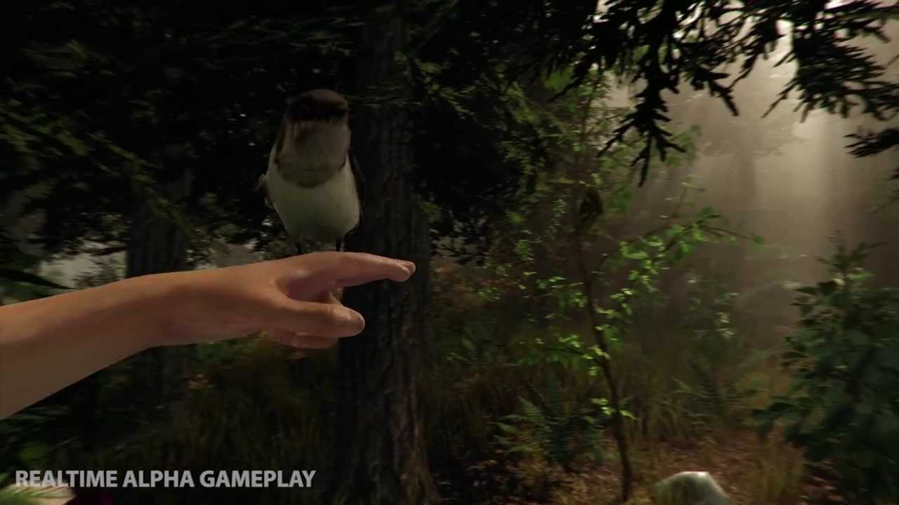 The Forest 2 Release Date for 2021 on PS5, Gameplay, Trailer : What to  expect ? - DigiStatement