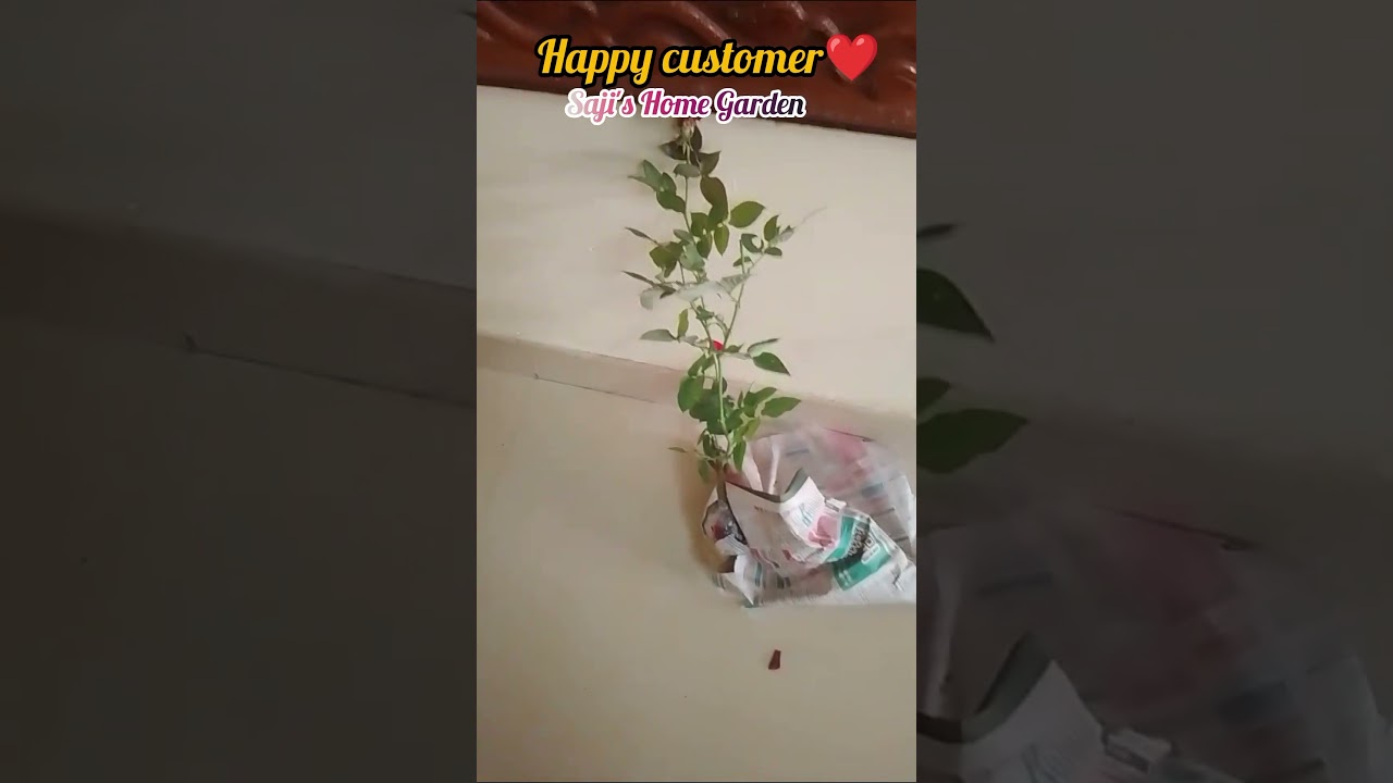 Happy customer😍#shorts#shortsfeed#onlinesale