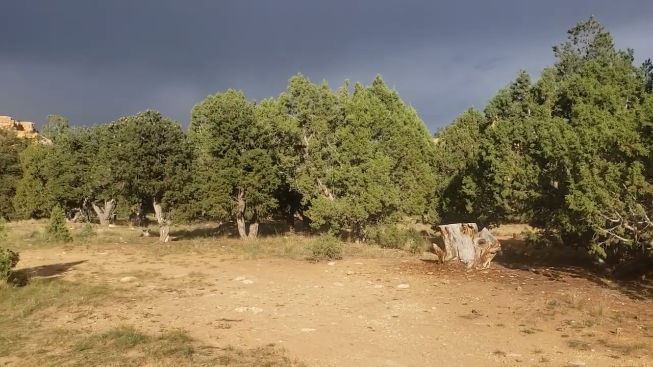 Video of Losee Canyon, UT from Jeffrey A.