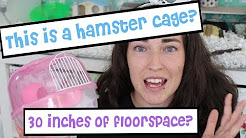 Hamster Care Videos 🐹 