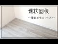 【賃貸DIY初心者】巾木を真っ白くしてみた