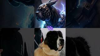 German Shepherd VS rottweiler, alabai VS Tibetan Mastiff #youtubeshorts #viral
