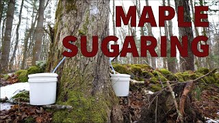 Maple Sugaring in New Hampshire | North of the Notch by North of the Notch 203 views 3 years ago 22 minutes