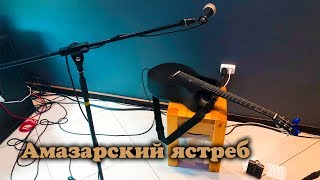 Олег Медведев - Амазарский ястреб