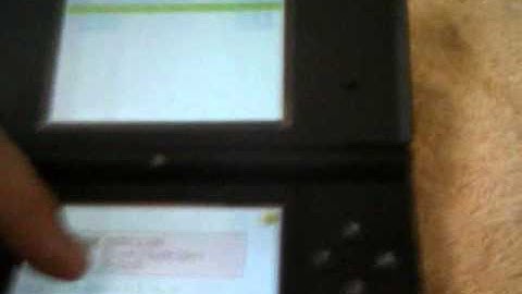 R4i Gold works with DSI Firmaware 1.4.1