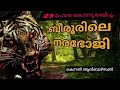 29 പേരെ കൊന്നു ഭക്ഷിച്ച ബിരൂരിലെ നരഭോജി | Hunting Story | Malayalam| Man- eater Tiger |