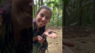 Animais Do Parque Nacional Do Itatiaia