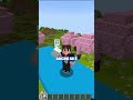 Il SALTO SEGRETO DI MINECRAFT