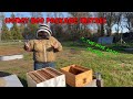 How to install a #honeybee package | Beekeeping 101