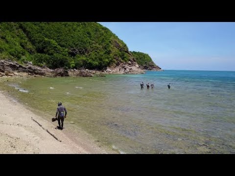 3D modeling an entire coral reef takes teamwork (!)