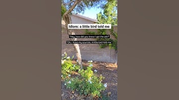 Thumbnail of English Idiom: A little bird told me