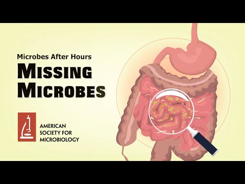 Missing Microbes with Dr  Martin Blaser