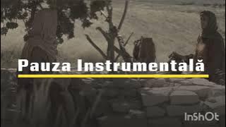 Negativ ton fata| Ti-am cunoscut iubirea @AlinDinBarbulesti 