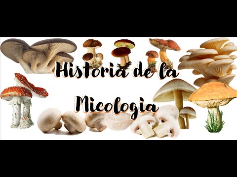 Historia de la Micología  1.0