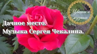 RELAX MUSIC and flowers. Лучшая музыка Сергея Чекалина Дачное место. Цветы и музыка для души.