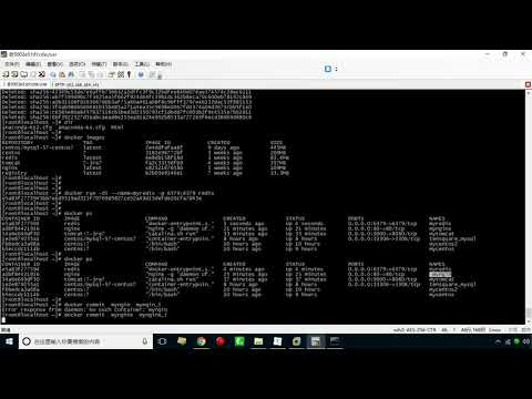 Docker 15 迁移与备份