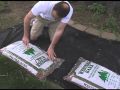 How To Landscape Around Trees