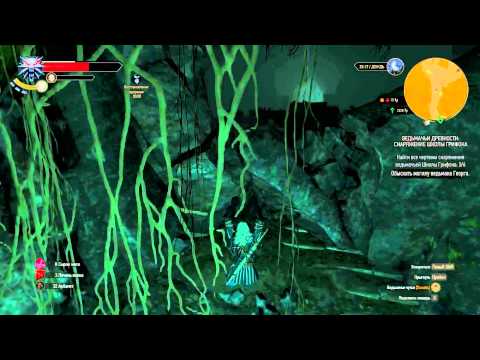 Witcher 3, Снаряжение школы Грифона, Доспехи, могила Георга