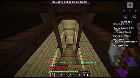 The most stupid items on AH (Hypixel Skyblock)