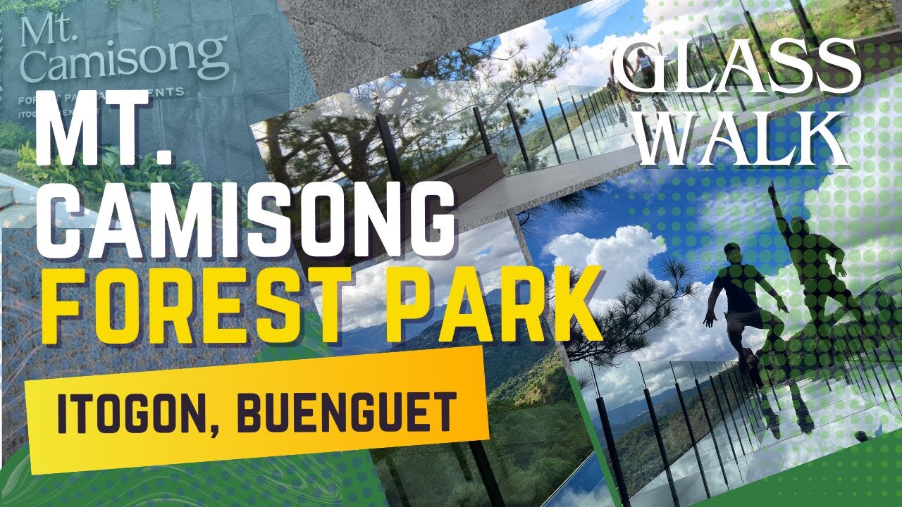 WALKING ON AIR at Mt Camisong Nature Park's Glass Walk!