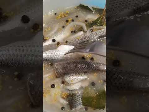 Рецепт маринованной кефали.