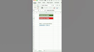 Cara mencoret tulisan di excel #excel #microsoft #exceltips #exceltutorial