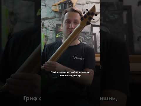 Обзор электрогитары Inspector