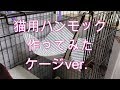 【うめこ】ケージ用ハンモック作ってみた【ノルウェージャンフォレストキャット】Norwegian Forest Cat