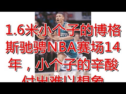 1.6米小个子的博格斯驰骋NBA赛场14年，小个子的辛酸付出难以想象