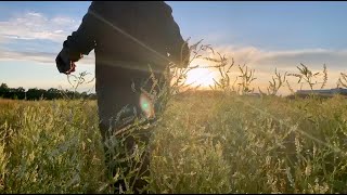Chris Engel - Blue Official Music Video