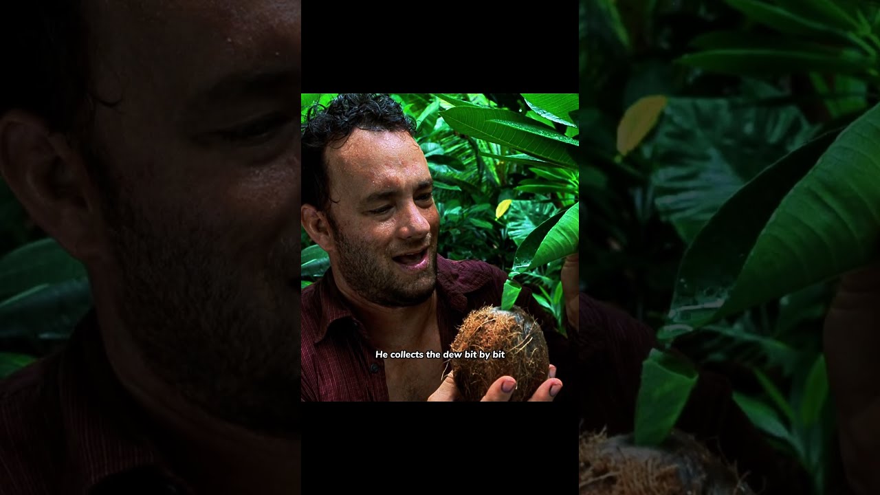 A Man Was Stranded On Deserted Island For 1 500 Days And Survived With The Help Of Volleyball 