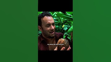 A man was stranded on a deserted island for 1,500 days and survived with the help of a volleyball.