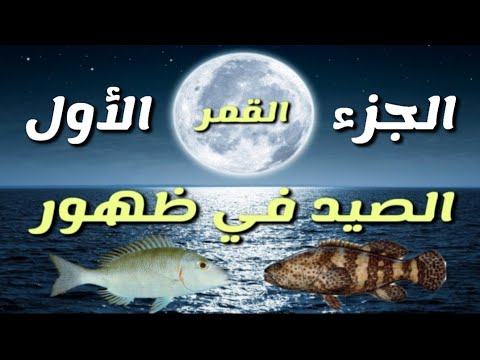 الصيد في ظهور القمر القمرية الجزء الاول