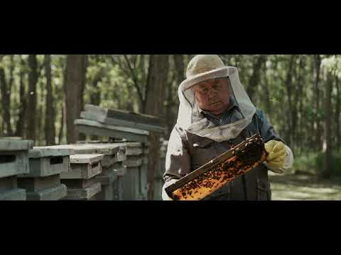 عسل الأكاسيا الطبيعي المستورد من هنغاريا الان في السعودية